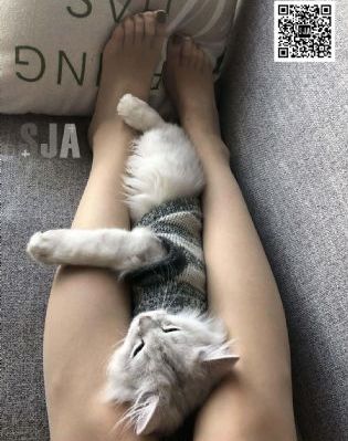 少妇高潮福利视频_蓝光在线视频观看